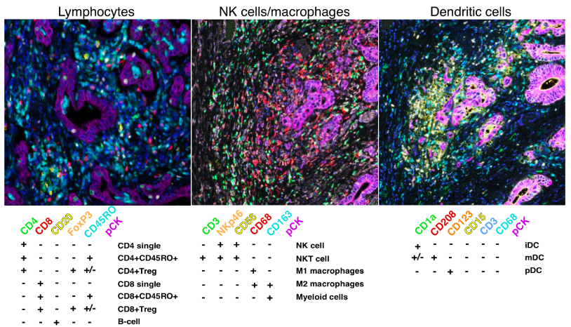 Single-Cell RNA Sequencing Data Analysis